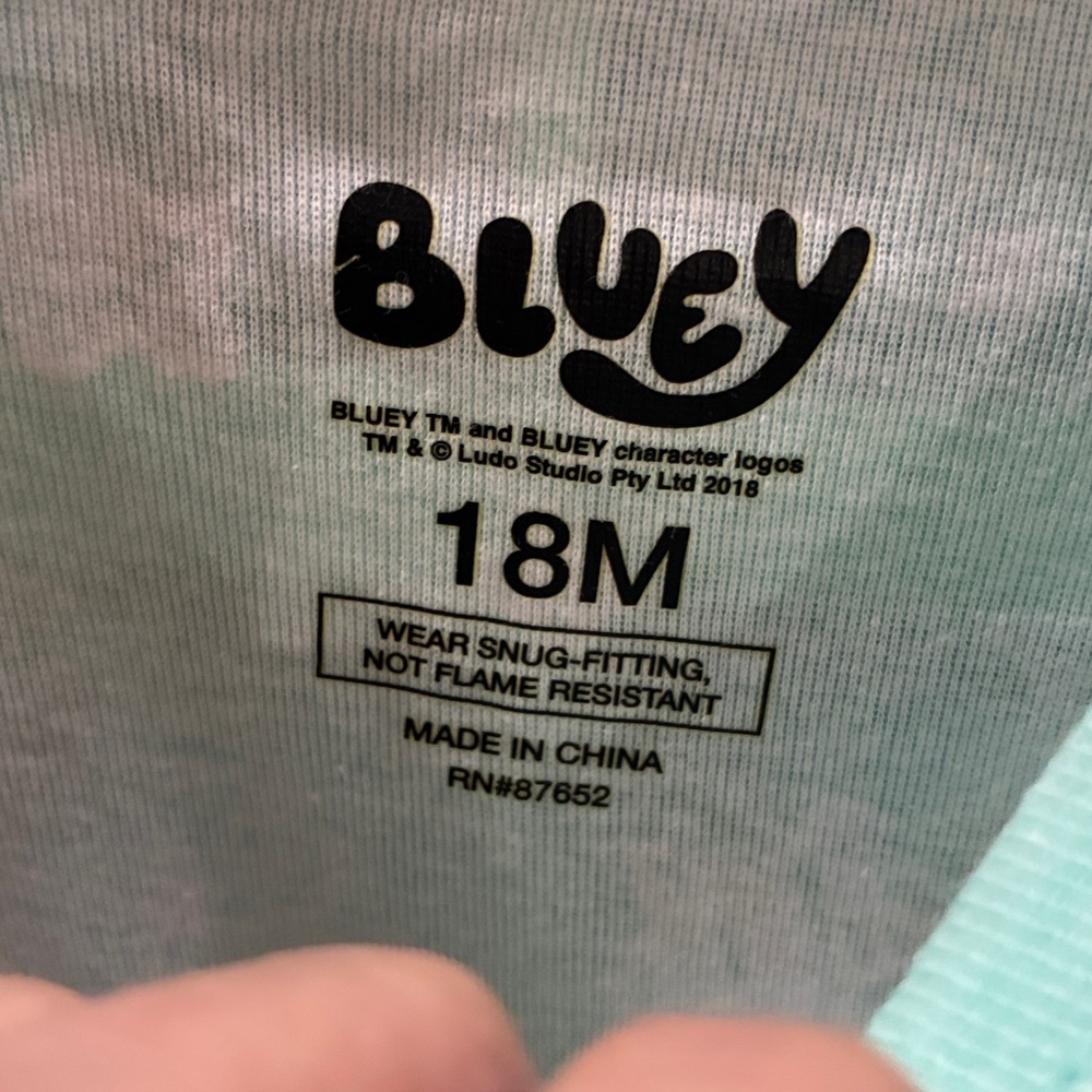 Bluey Kids Pajama Set - Mint Green and blue.  2 sets each purchase - Picture 3 of 4